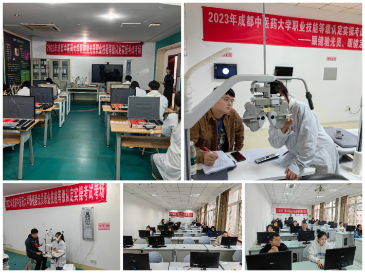 Collage_20231026_144541